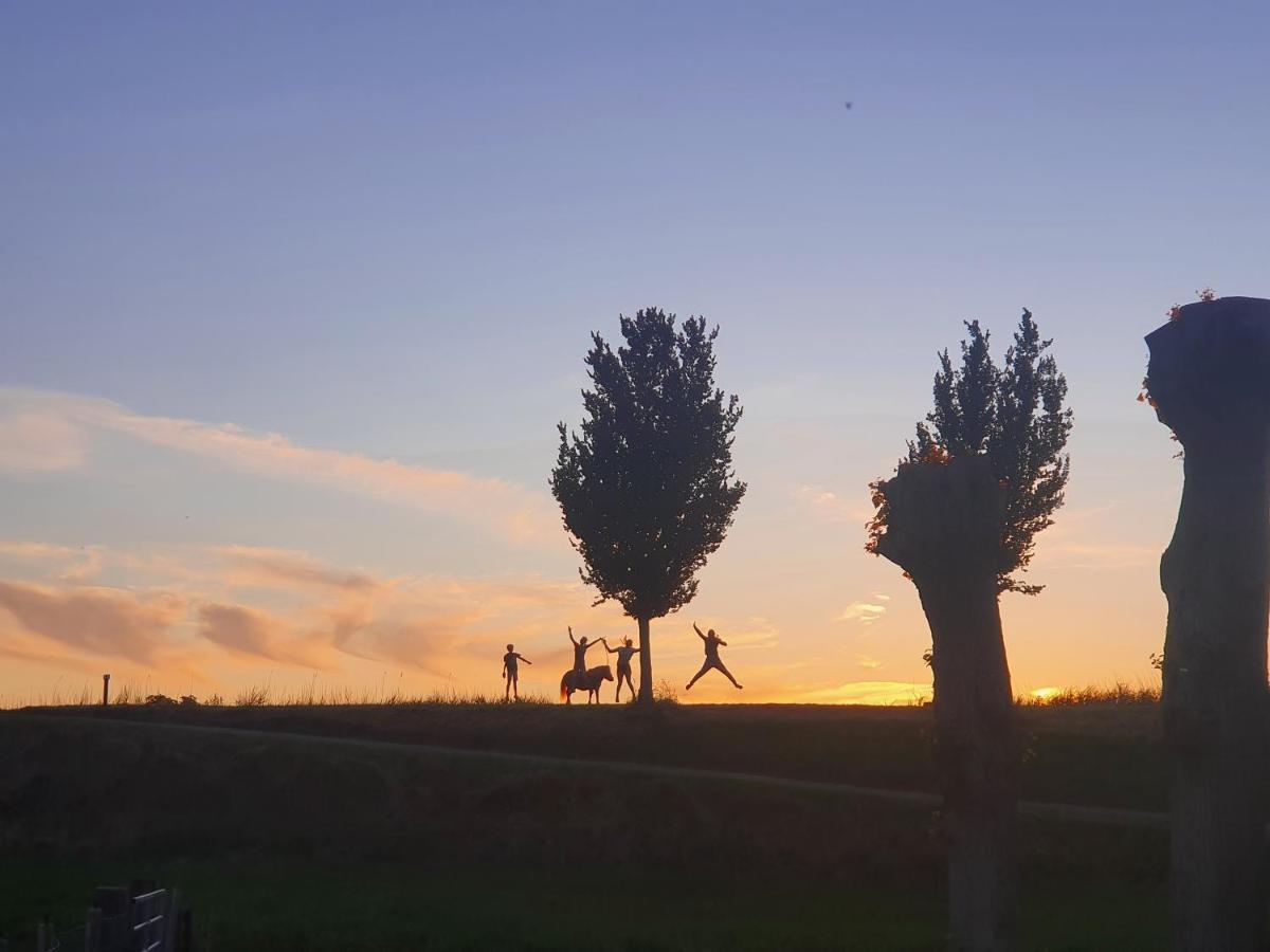 Vakantieboerderij Huize Nuis Noordbeemster エクステリア 写真